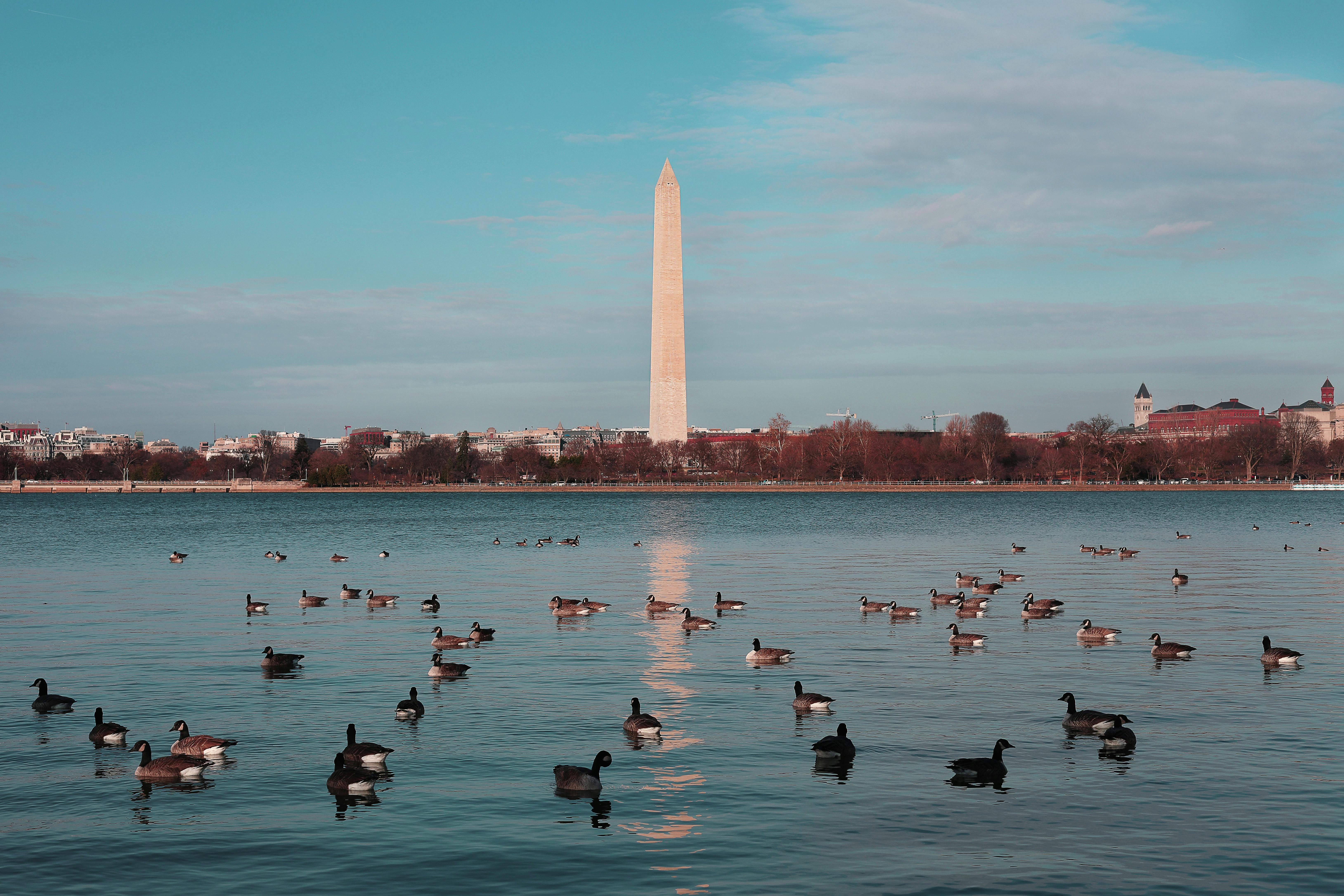 These 5 D.C. Tech Companies Raised a Collective $605M in June